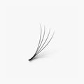 4D | 0.07mm | 500 Premade Lash Fans