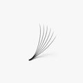 6D | 0.05mm | 500 Premade Lash Fans
