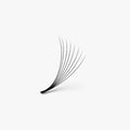 8D | 0.05mm | 500 Premade Lash Fans