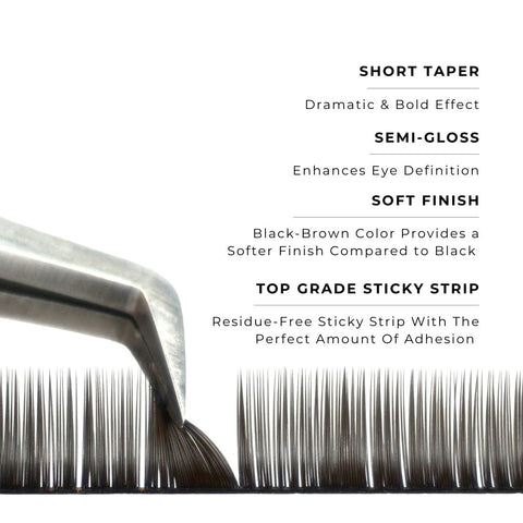 strip of espresso satin silk 0.15mm lashes with features