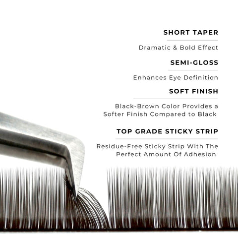 strip of espresso satin silk 0.07mm lashes with features