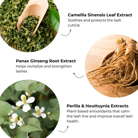 Fusion Lash Lift Lotion