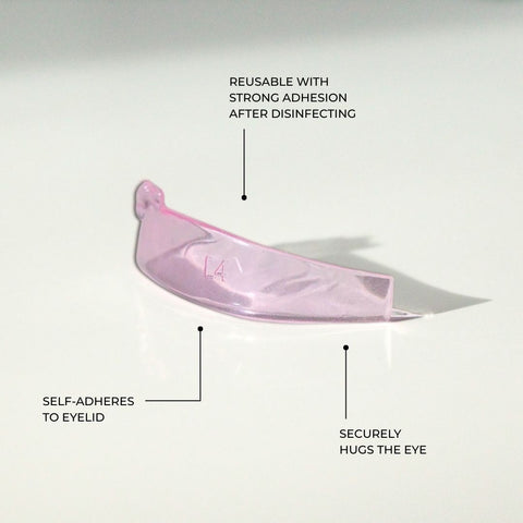 Jellies Collection 1