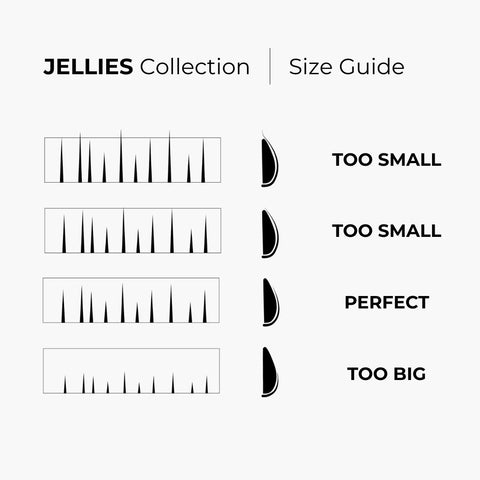 Jellies Collection 1