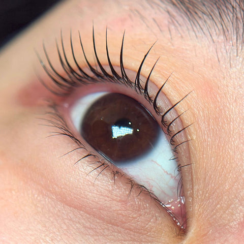 Korean Lash Lift Online Course