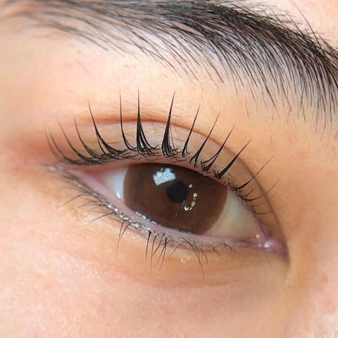 Korean Lash Lift Online Course