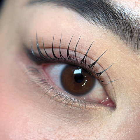 Korean Lash Lift Online Course