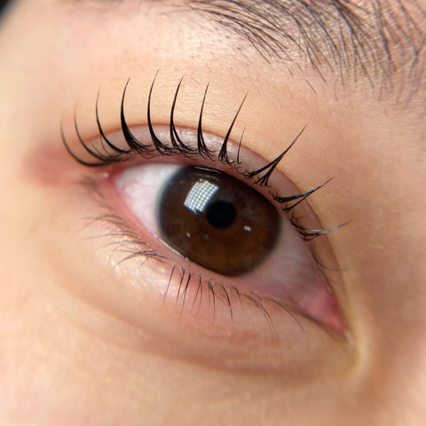 Korean Lash Lift Online Course