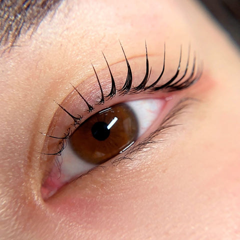 Korean Lash Lift Online Course