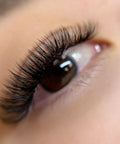 volume set using mynk 0.03mm lashes
