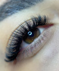 volume set using mynk 0.03mm lashes