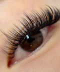 volume set using mynk 0.03mm lashes