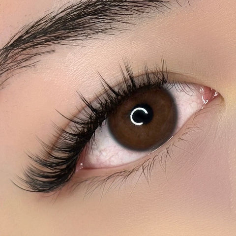 volume set using mynk 0.05mm lashes