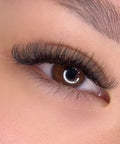 volume set using mynk 0.05mm lashes