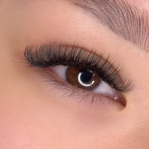 volume set using mynk 0.05mm lashes