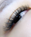 volume set using mynk 0.05mm lashes