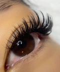 volume set using mynk 0.05mm lashes