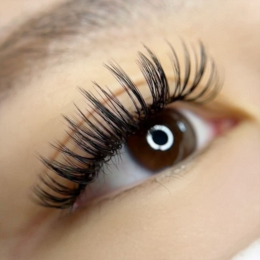 volume set using mynk 0.07mm lashes