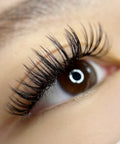 volume set using mynk 0.07mm lashes