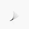 10D | 0.03mm | 500 Premade Lash Fans