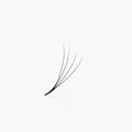4D | 0.07mm | 500 Premade Lash Fans