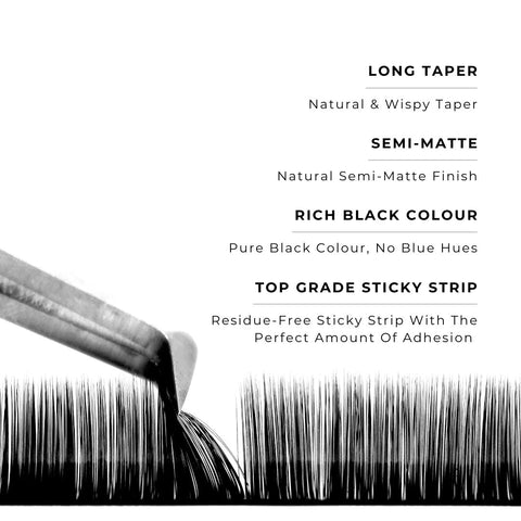 strip of noir 0.03mm lashes with features
