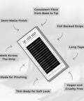 informational graphic on noir lashes