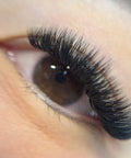 set of volume lashes using noir collection