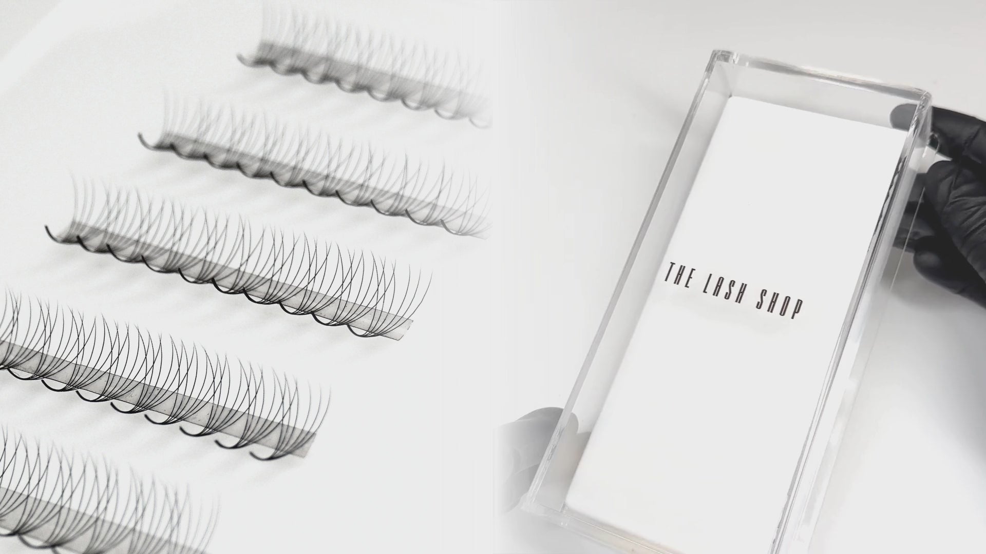 demo on how to set up lash tile for premade lash fans