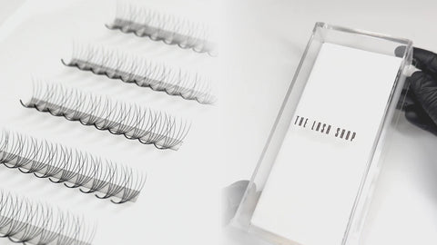 demo on how to set up lash tile for premade lash fans