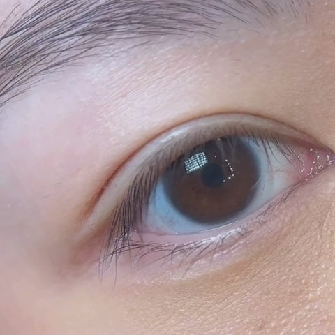 korean lash lift transformation